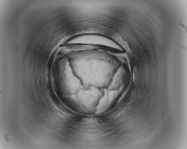 X0000096130300200802081332