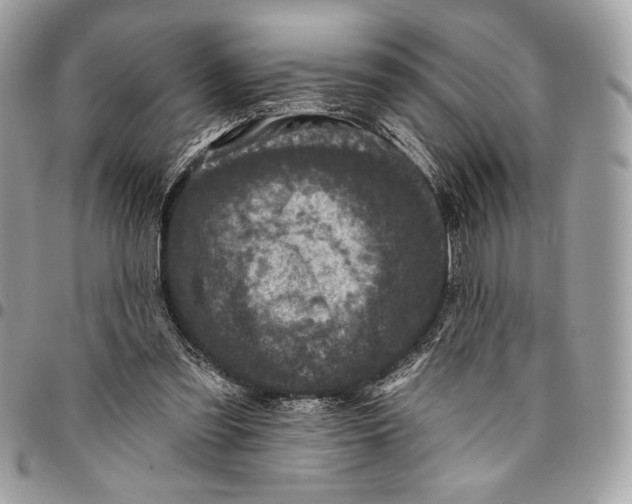X0000096130301200802081332