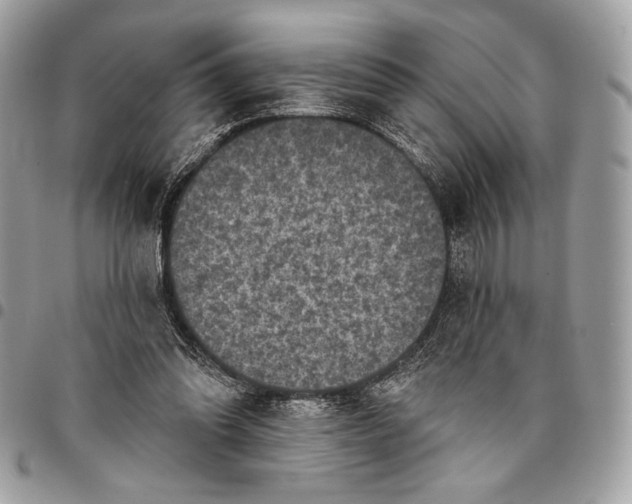 X0000096130302200802081332