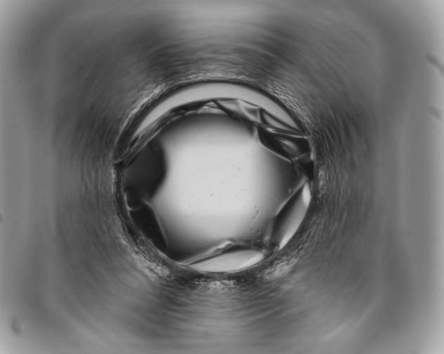 X0000096130304200802081332