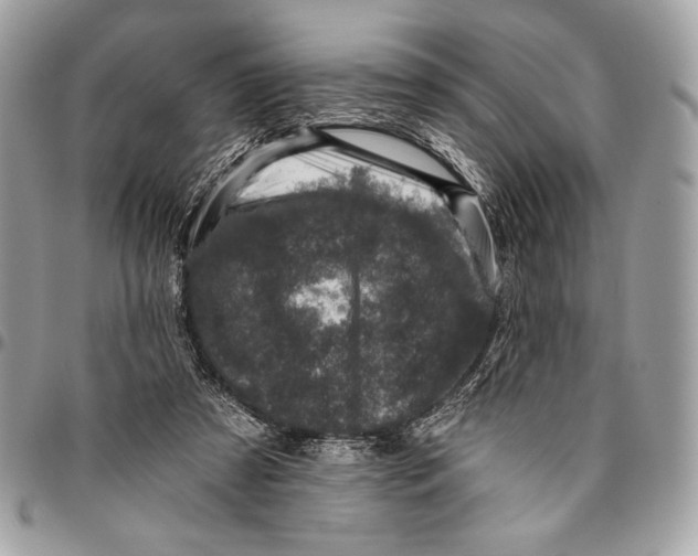 X0000096130305200802081332