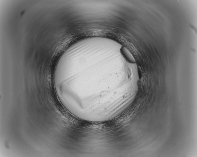 X0000096130306200802081331