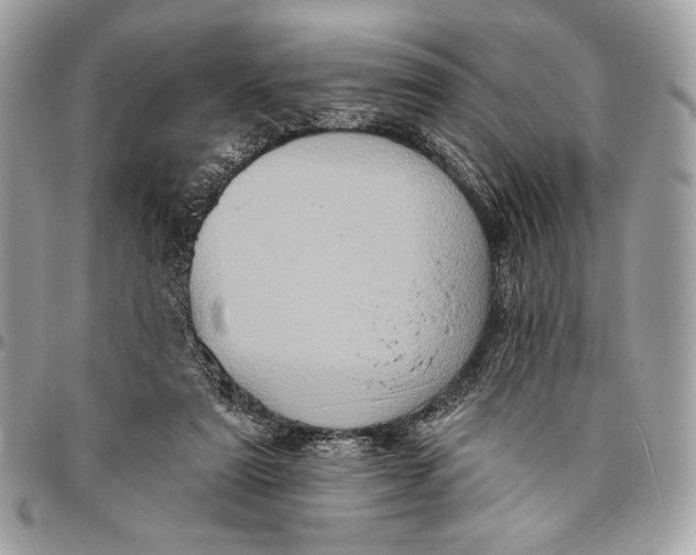 X0000096130307200802081331