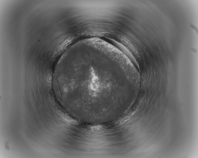 X0000096130309200802081331