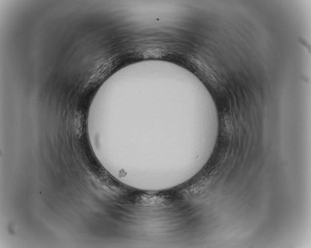 X0000096130311200802081331