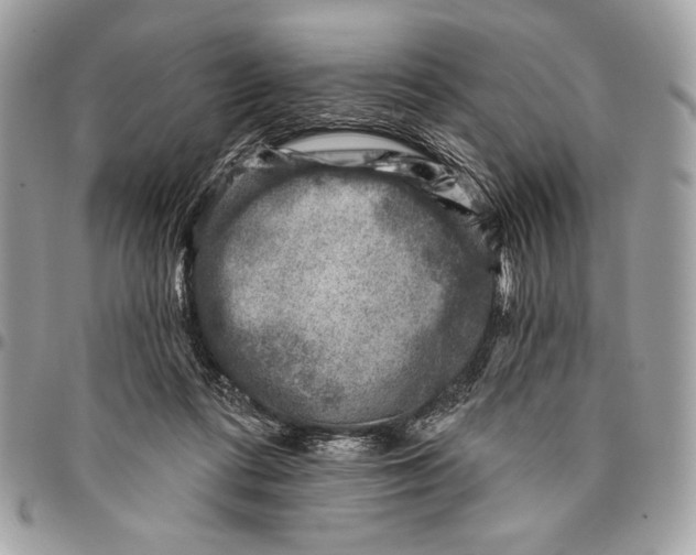 X0000096130312200802081331