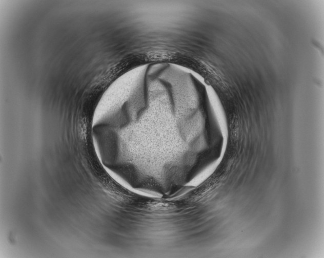 X0000096130315200802081331