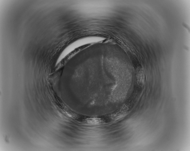 X0000096130316200802081331