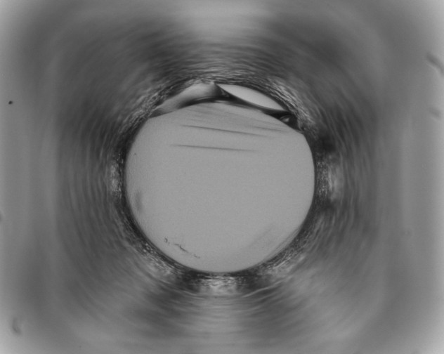 X0000096130317200802081331