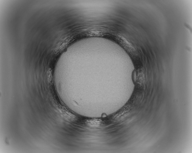 X0000096130318200802081331