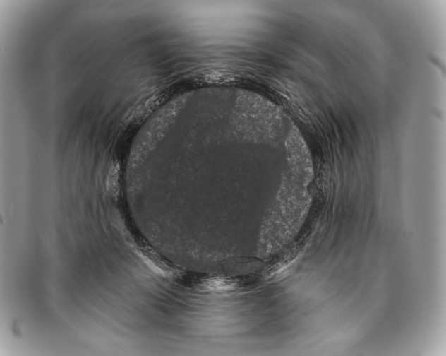 X0000096130319200802081331