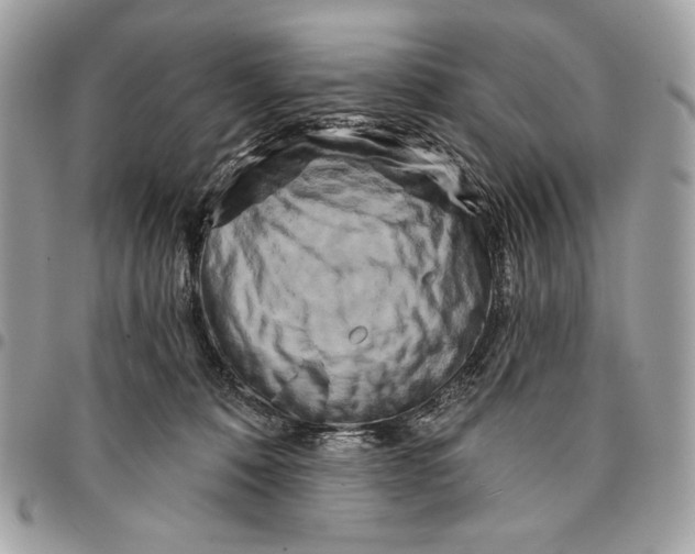 X0000096130320200802081331