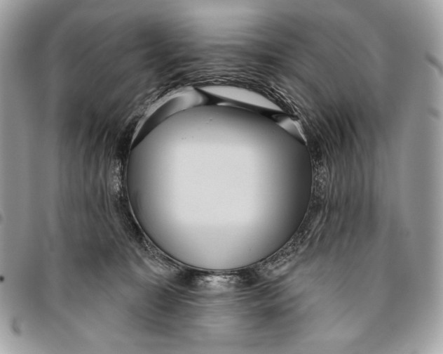 X0000096130323200802081331