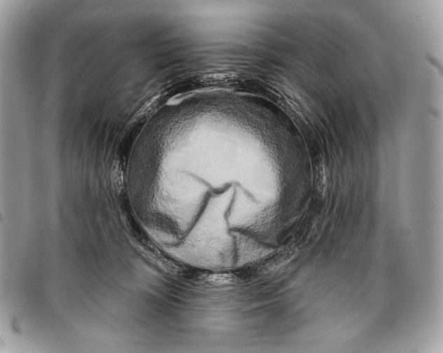 X0000096130324200802081331