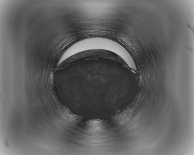 X0000096130325200802081331