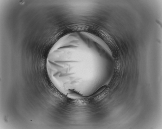 X0000096130326200802081331