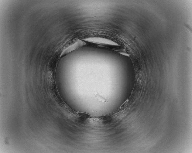 X0000096130327200802081331