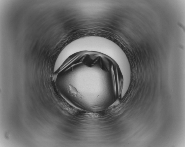 X0000096130328200802081331