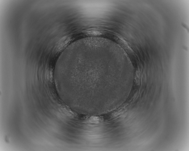 X0000096130330200802081331