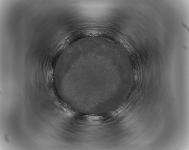 X0000096130332200802081331