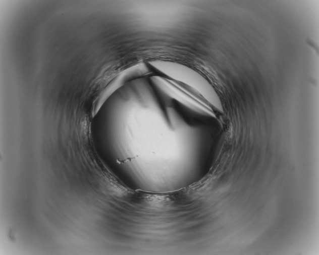X0000096130333200802081331
