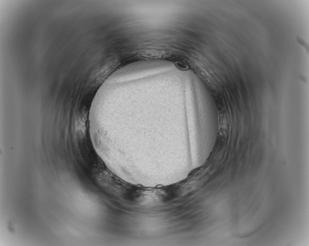 X0000096130334200802081331