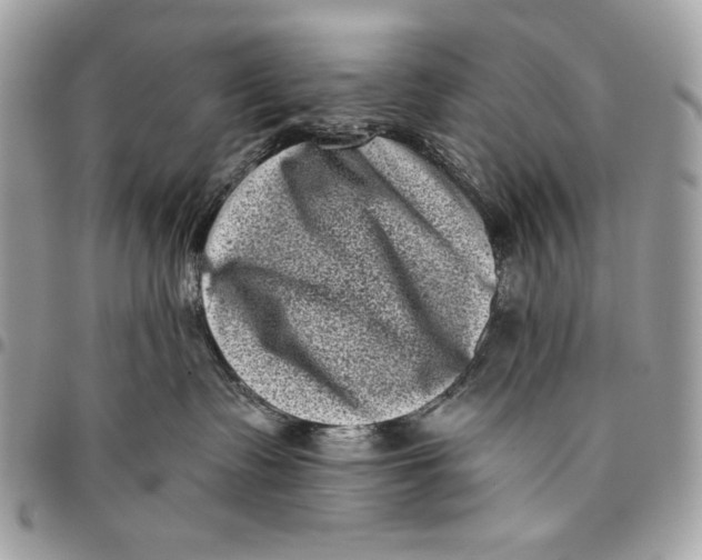 X0000096130335200802081331