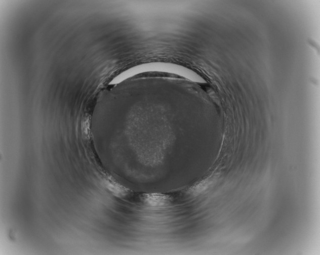 X0000096130336200802081331