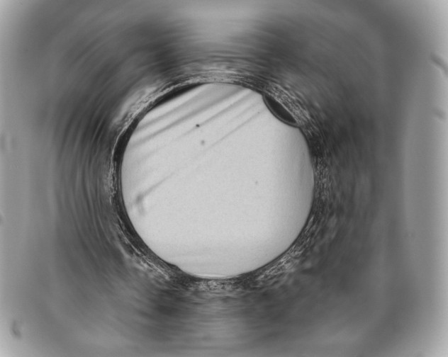 X0000096130338200802081330