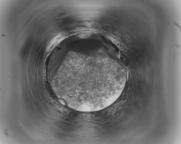 X0000096130339200802081330