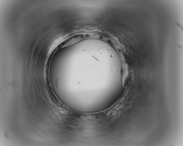 X0000096130340200802081330