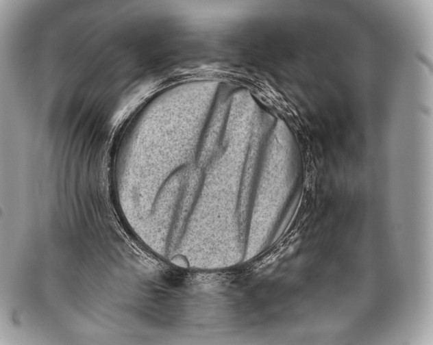 X0000096130341200802081330
