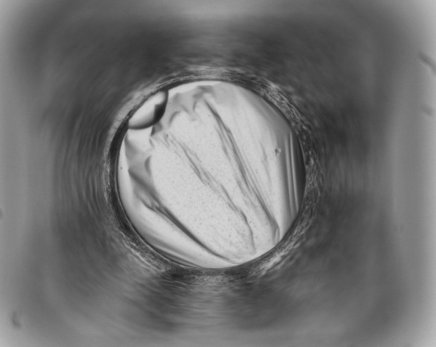 X0000096130342200802081331