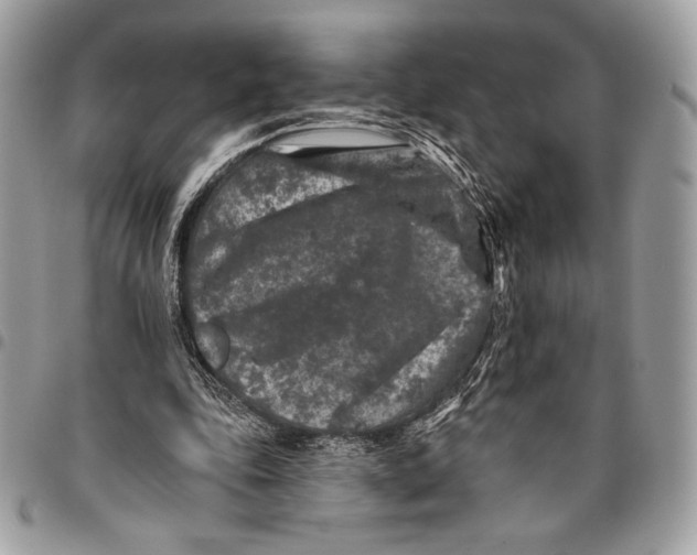 X0000096130343200802081331