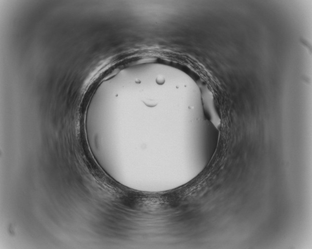 X0000096130344200802081331