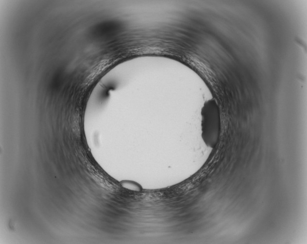 X0000096130345200802081331