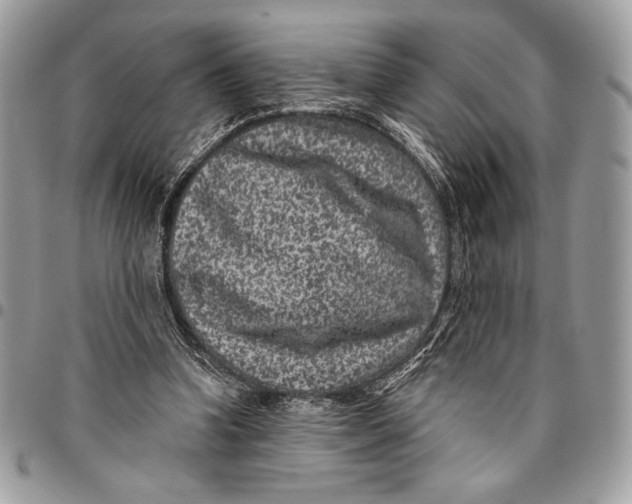 X0000096130346200802081331