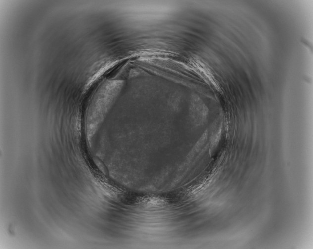 X0000096130348200802081331