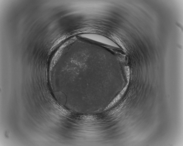 X0000096130349200802081331