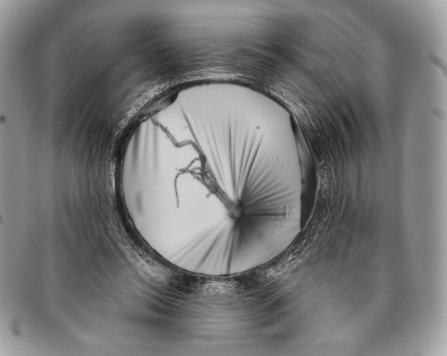 X0000096130350200802081331