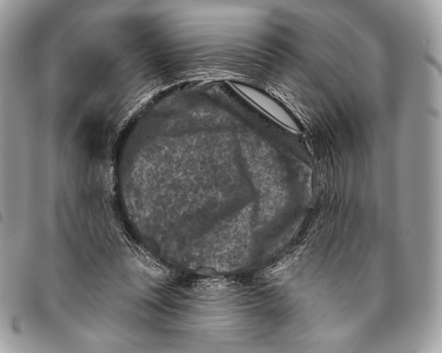 X0000096130351200802081331
