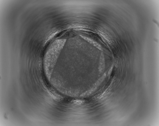X0000096130352200802081331