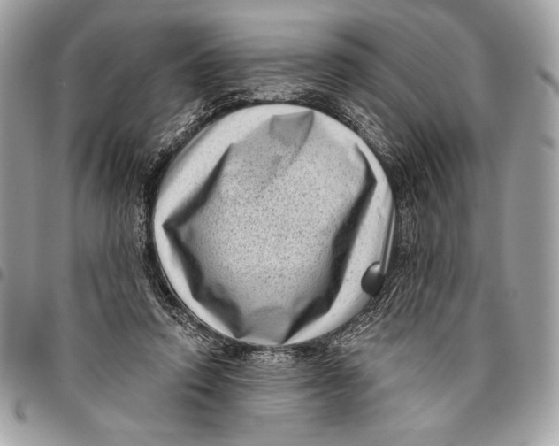 X0000096130354200802081331