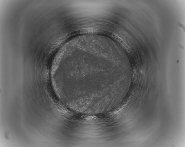 X0000096130355200802081331