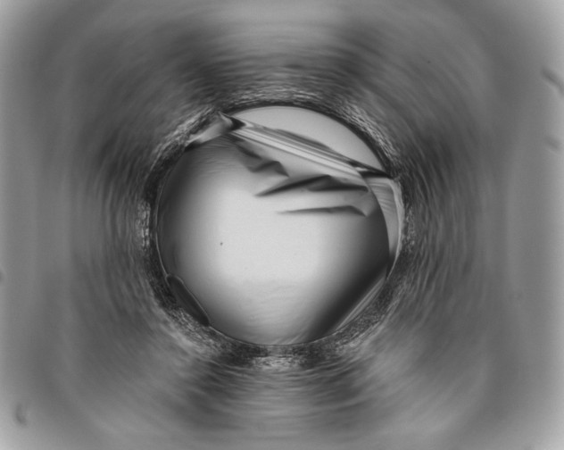 X0000096130356200802081331