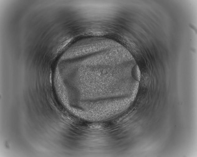 X0000096130358200802081331