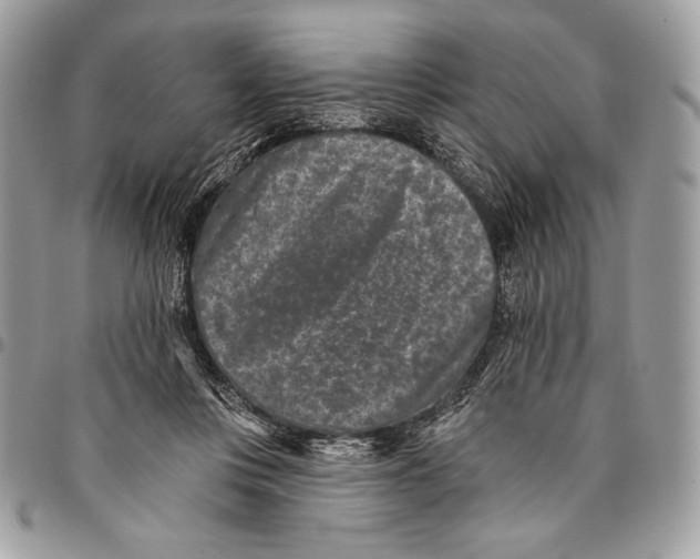 X0000096130359200802081331