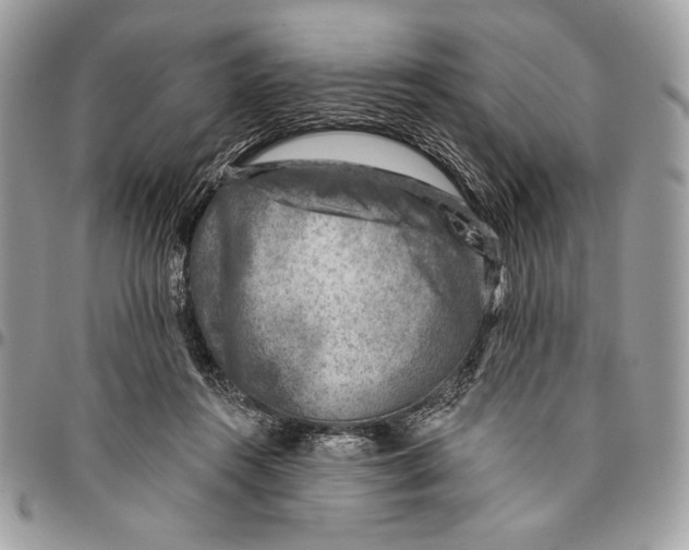 X0000096130360200802081331