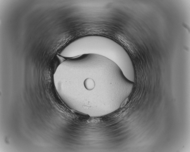 X0000096130362200802081331