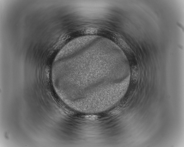 X0000096130363200802081331